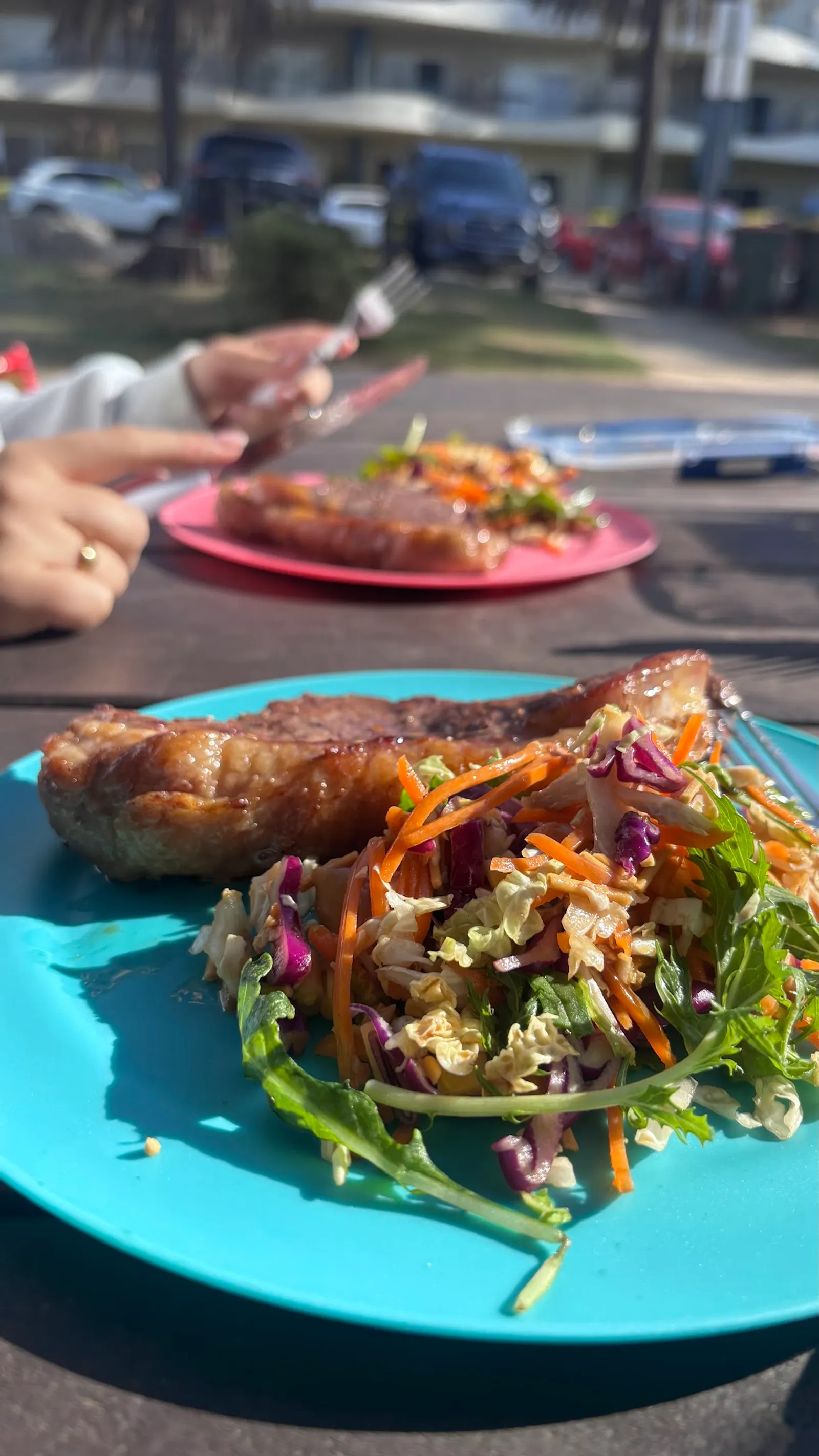Two pork cutlet and coleslaw dishes on colourful plates eaten outdoors at Hill Top Farm Meats café