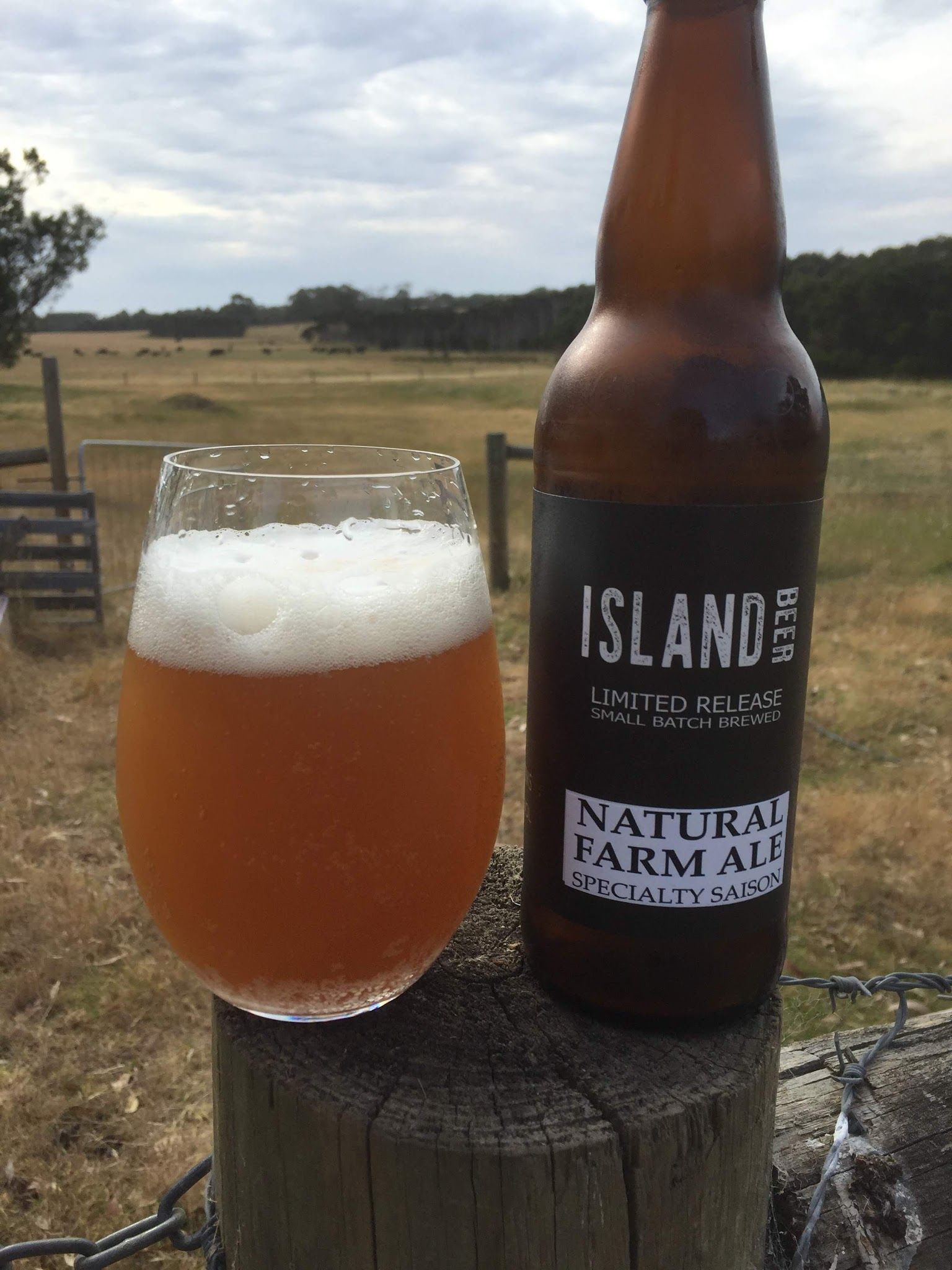 Island Beer Natural Farm Ale bottle and glass on fence post with Phillip Island cattle farm in background